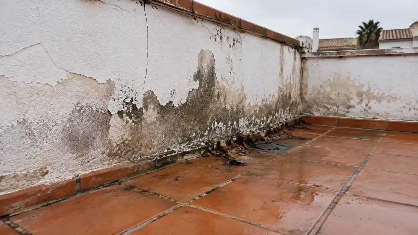 Manchas de humedad, pintura desconchada y suciedad acumulada en el encuentro entre el muro y el suelo de una azotea